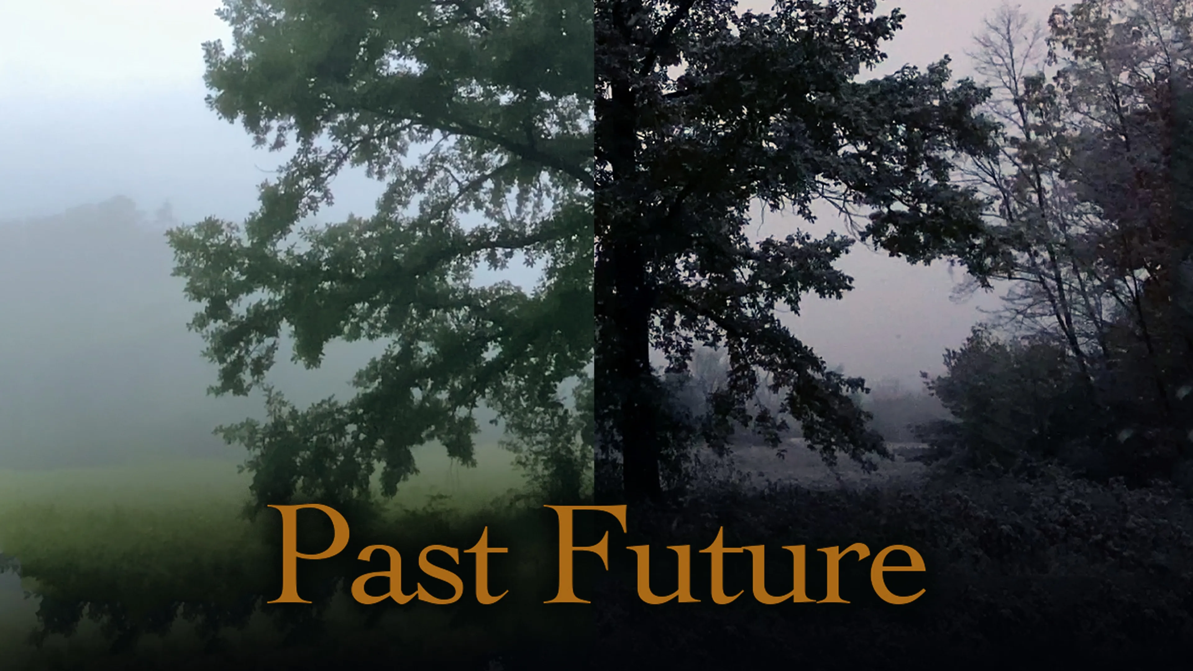 Past Future poster